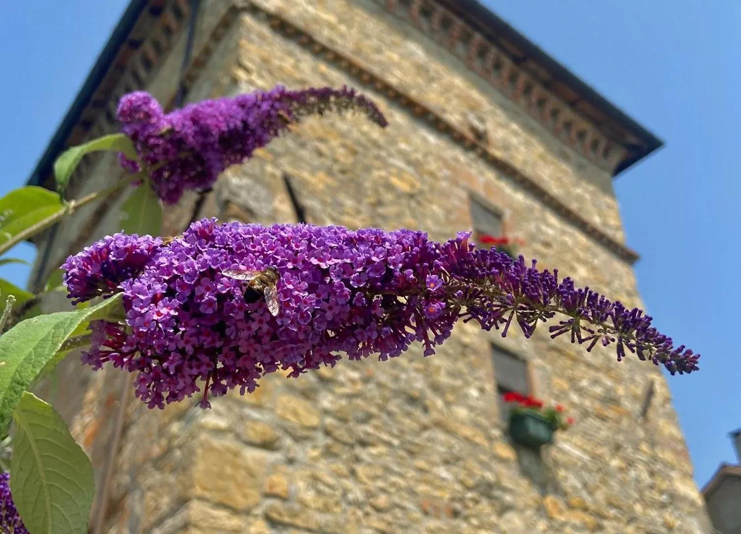 Antica Torre Villa Salsomaggiore Terme
