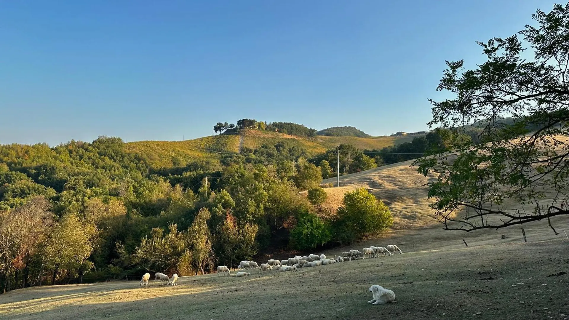Agriturismo Antica Torre سالسوماجّوري تيرمي