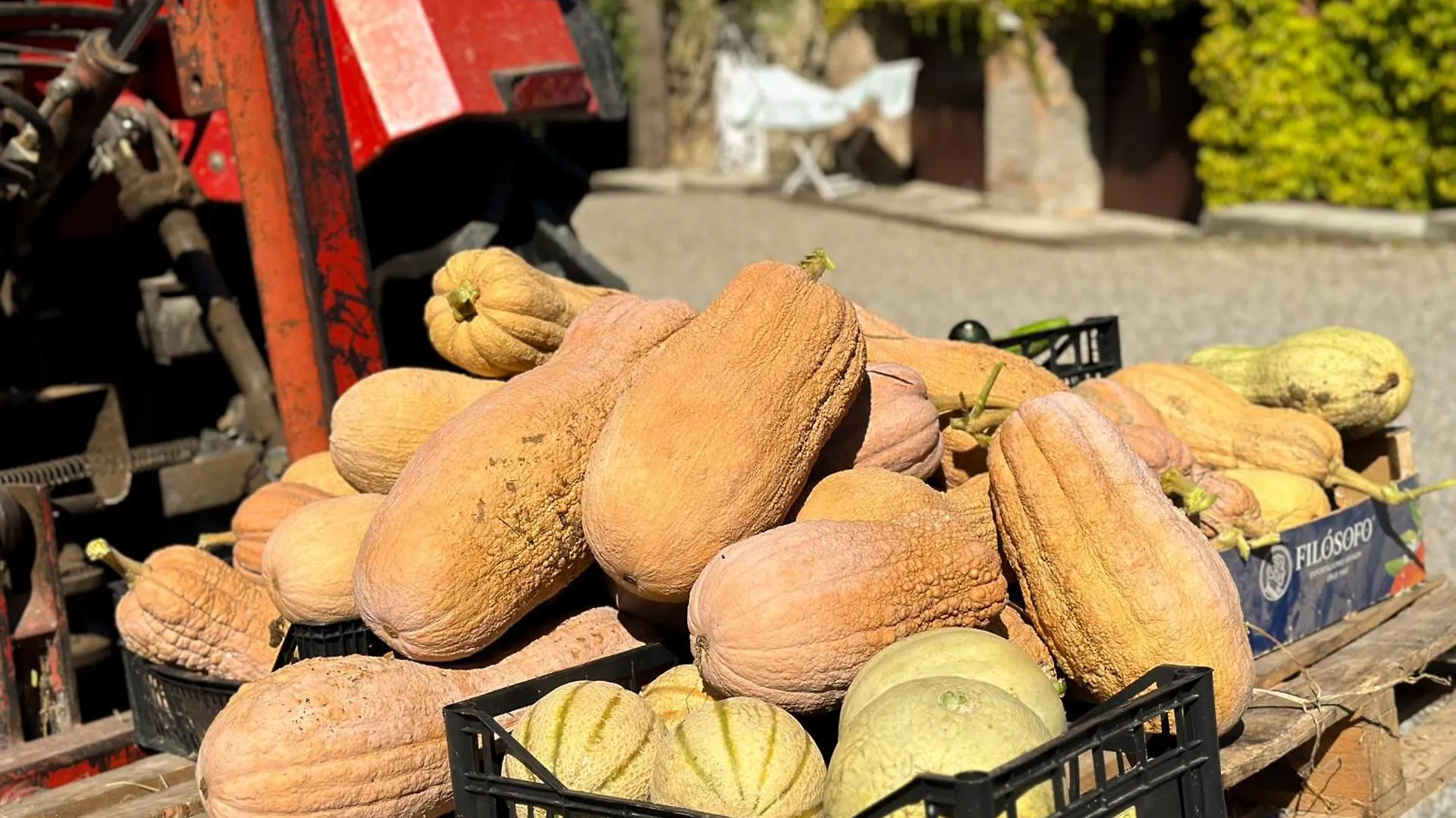 Antica Torre Villa Salsomaggiore Terme Farm stay